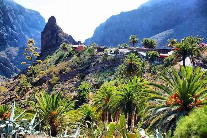 Buenavistera Apartment Buenavista Del Norte